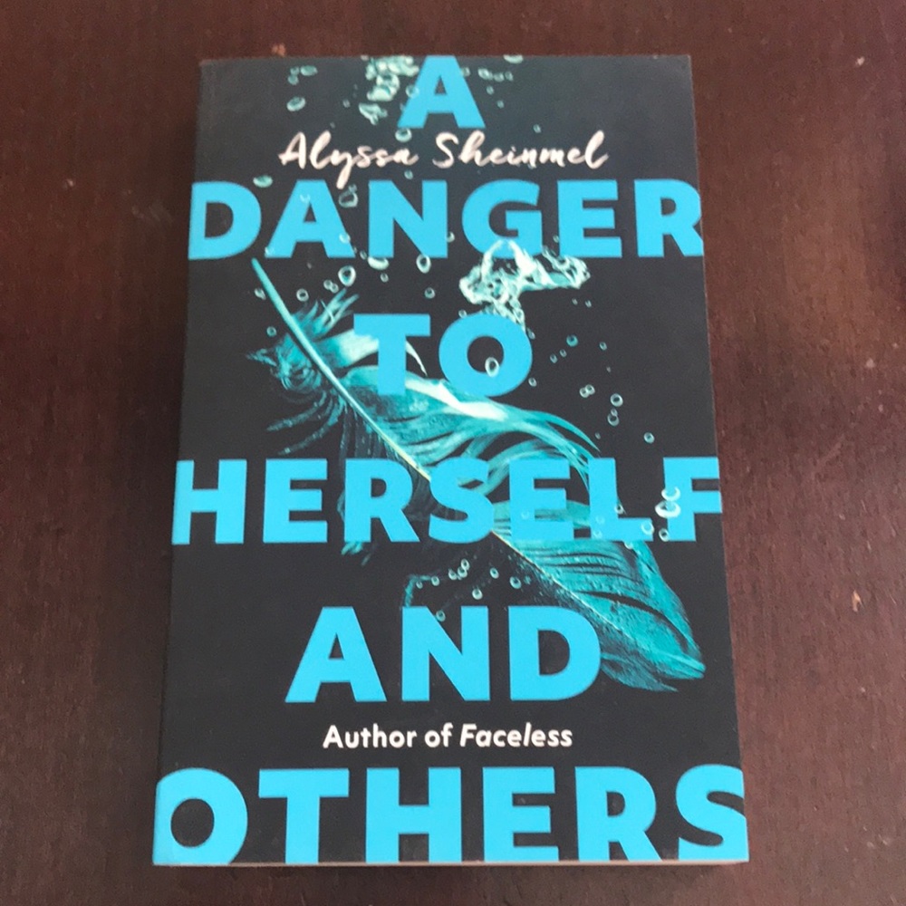 Book Bundle Girls 11-14 Aylessa Sheinmel - Picture 7 of 8